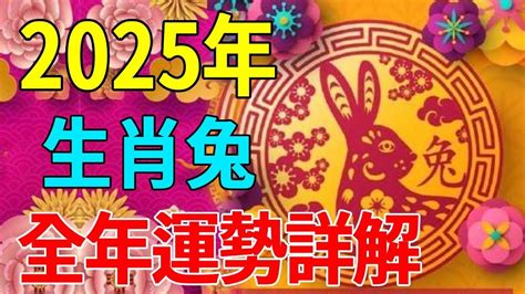 屬兔適合的生肖|生肖兔: 性格，愛情，2024運勢，生肖1987，1999，2011